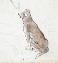Croquis en couleur d'un chien brun assis. 