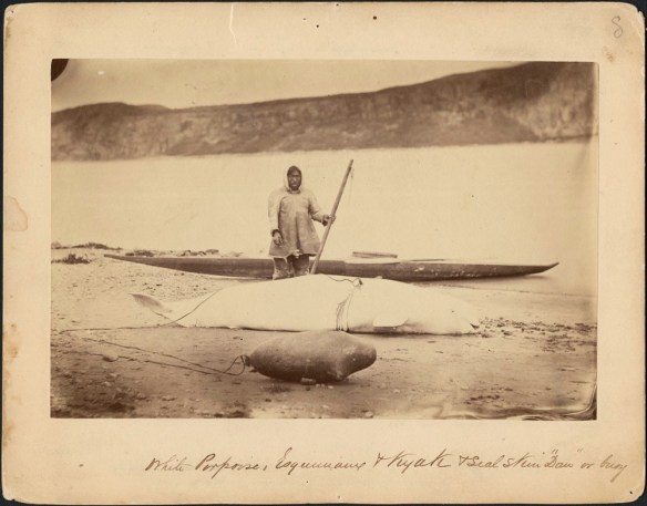 Portrait d’un chasseur avec un béluga, une bouée en peau de phoque et un kayak le long de la Petite rivière de la Baleine, Québec. Photographe : George Simpson McTavish (MIKAN 3264747)
