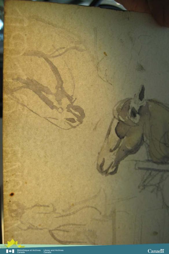 Une photographie en couleur illustrant le dessin à l’aquarelle d’un cheval. Au bas de la feuille, on peut voir l’impression délicate du filigrane « 1915 England » (1915 Angleterre).