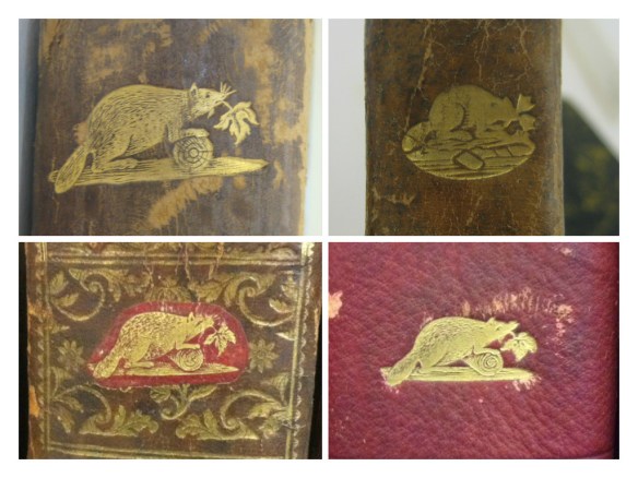 Collage photographique en couleur de quatre estampilles représentant un castor, illustrant les différents styles d’estampilles que l’on retrouve sur les livres.