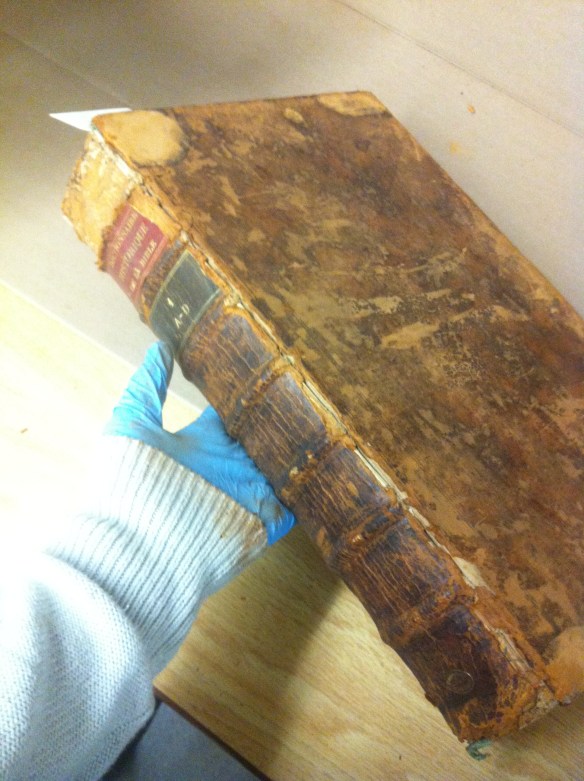 Photographie couleur d’une main gantée tenant un livre portant des signes évidents de pourriture rouge. Le gant et la manche sont couverts d’une fine poussière brun-rouge. 