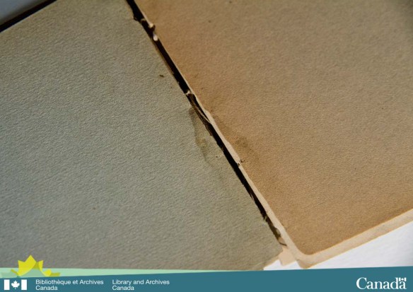 Photographie couleur de la face interne du dos d’un livre montrant une tache d’humidité bordée d’une ligne plus foncée