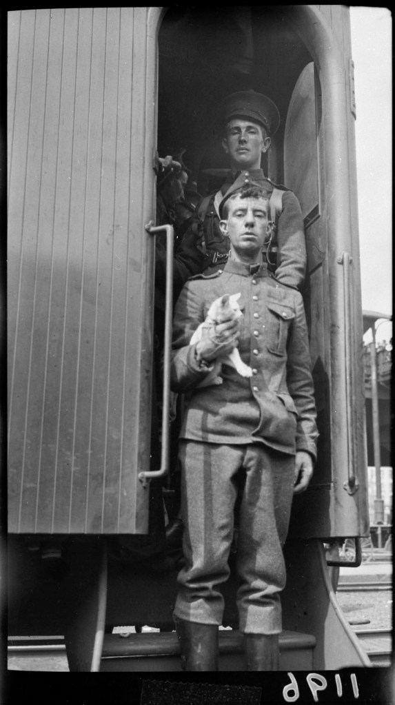 Photo noir et blanc en contre plongée de soldats descendant les marches d’une voiture de train. Les deux regardent le photographe; l’un d’eux tient un chaton dans ses bras.