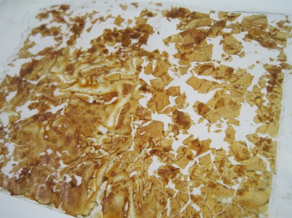 Photo couleur montrant une pellicule de nitrate détériorée. Il ne reste plus que des miettes brunes ou jaunes.