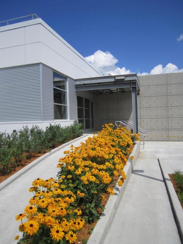 Photographie couleur de l’entrée d’un édifice gris, avec une rangée de fleurs jaunes à l’avant-plan.