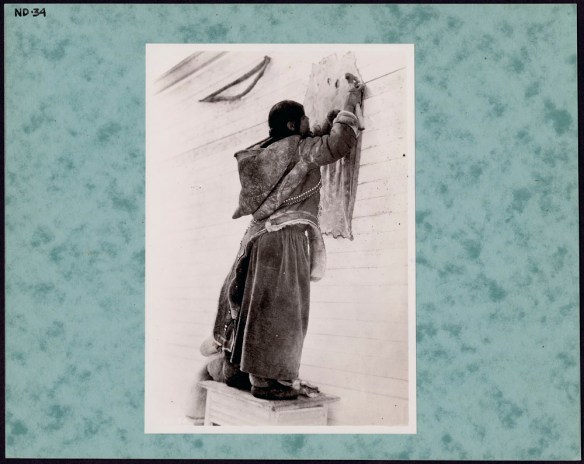 Photo noir et blanc d’une femme inuite qui porte une parka en peau et une jupe longue. Elle se tient debout sur une caisse en bois, dos à la caméra, et gratte une peau de phoque fixée à un mur de bardeaux.