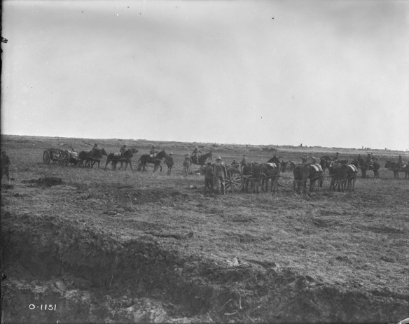 Une photographie en noir et blanc montrant au moins trois équipes de six chevaux transportant des canons aux endroits stratégiques.