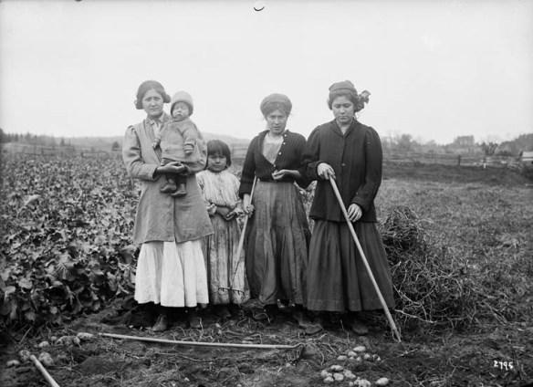 Une photo en noir et blanc de trois femmes et deux enfants dans un champs de pommes de terre