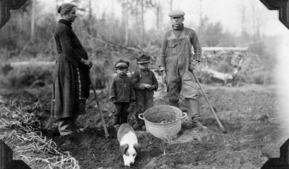 Une photo en noir et blanc montrant une femme enceinte, deux enfants et un homme en train de récolter des patates.