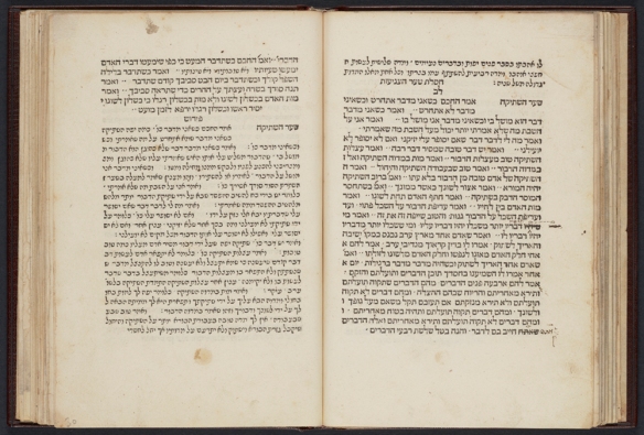 Une photo en couleurs d’un livre ouvert rédigé en hébreu.