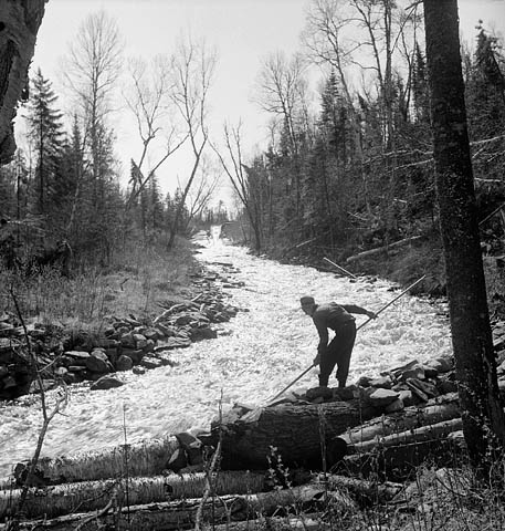 Photo noir et blanc d’un homme se tenant aux abords d’une rivière avec un long bâton; il repousse les billots de bois pour qu’ils continuent leur chemin en aval.