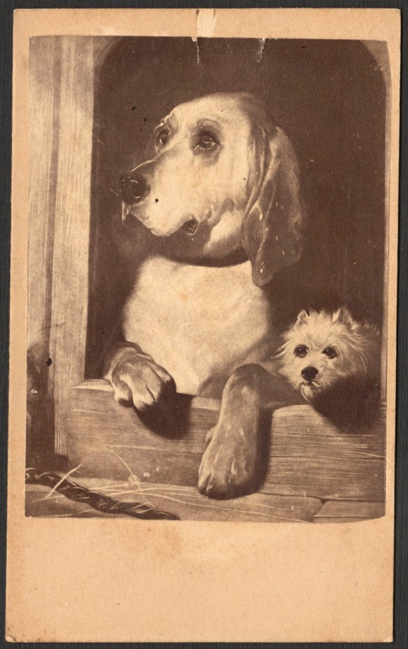 Photolithographie noir et blanc montrant deux chiens (un gros et un petit) dans leur niche, regardant vers l’extérieur.