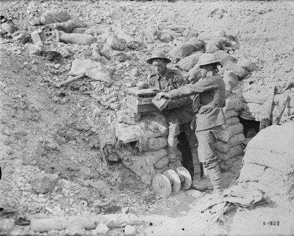 Photographie noir et blanc de deux soldats dans une tranchée abreuvant, à l’aide d’une gourde, leurs pigeons voyageurs enfermés dans un panier de transport.