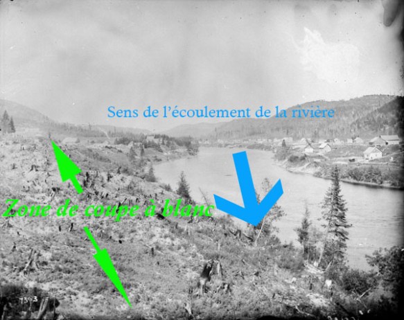 Une rivière bordée de souches d’arbres sur le côté gauche et de maisons sur le côté droit.