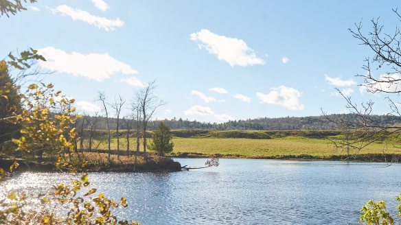 Une photo récente du secteur où le glissement a eu lieu.