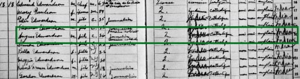 Liste de noms dans le recensement de 1921, avec le sexe, l’âge et l’origine de chacun.